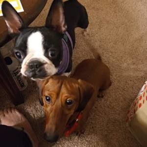 Meet your Posher, Teresa